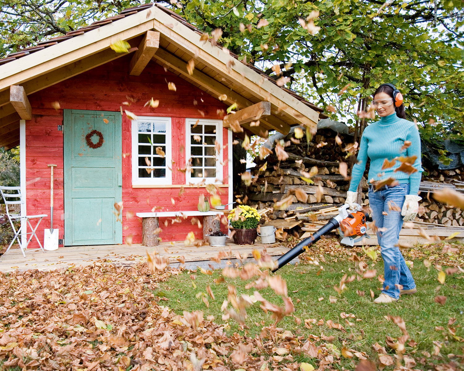 STIHL BG56 Blower