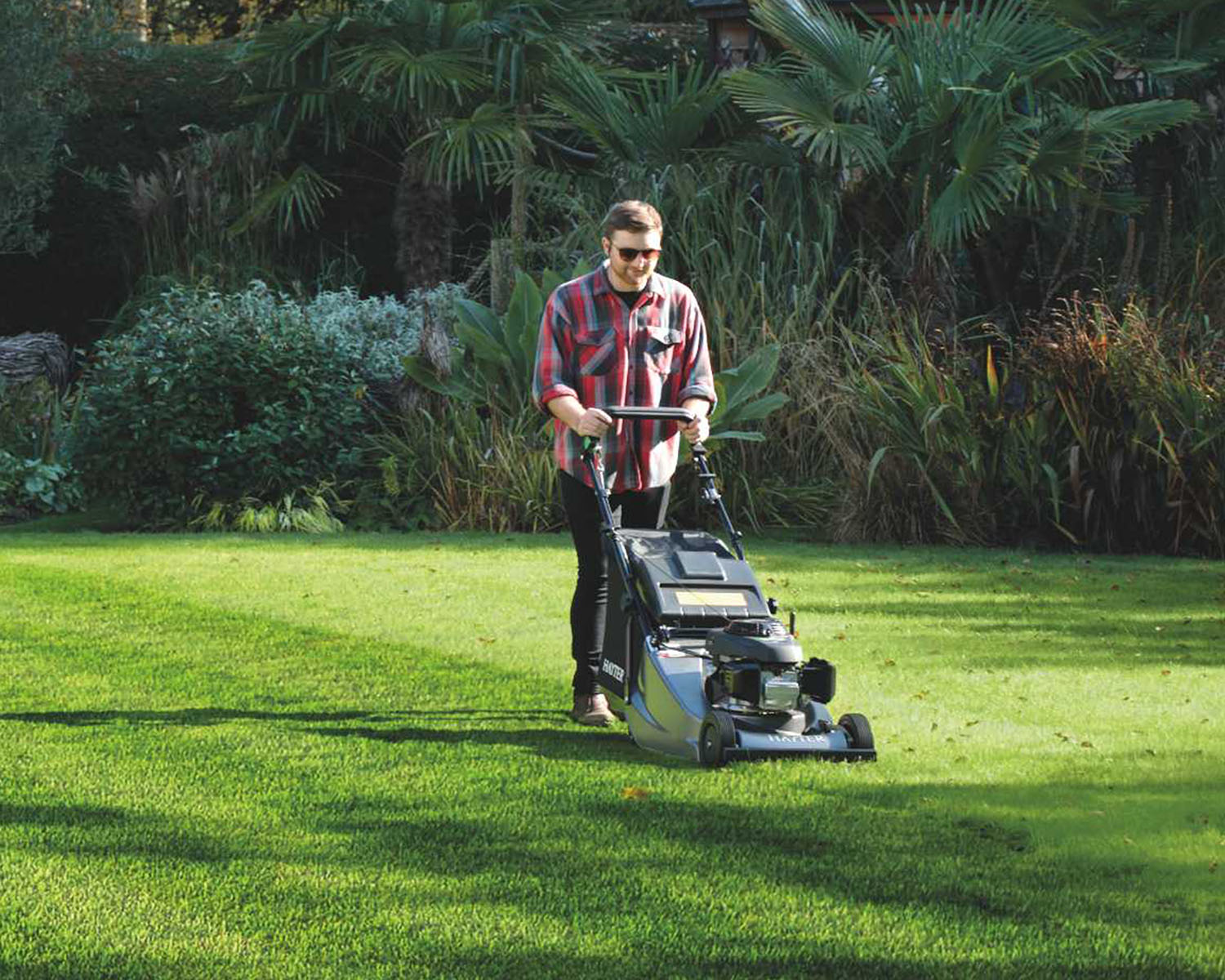 Hayter Harrier 48 Pro Autodrive BBC Lawnmower